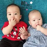 Authentic Review by Aleana Chong