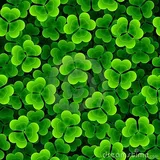 Authentic Review by Annie Chua