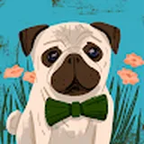 Authentic Review by Rachel