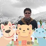 Authentic Review by Nancy Yip