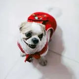 Authentic Review by ong hui wen