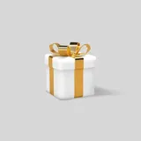 Authentic Review by Nancy Oh