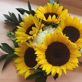 Authentic Review by Selina Tay