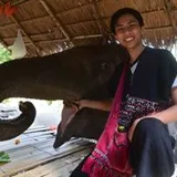 Authentic Review by Nooraisha