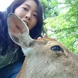 Authentic Review by Carole Tang