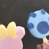 Authentic Review by Chan