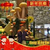 Authentic Review by Jimmy Ng Hung Jeng