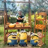 Authentic Review by Cheng Peng Hui