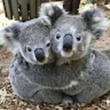 Authentic Review by Lynnette Tan