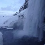 Authentic Review by shirley koay