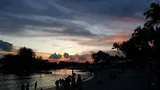 Authentic Review by Henry Ma