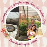 Authentic Review by Aileen Lee