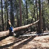 Authentic Review by Kelly