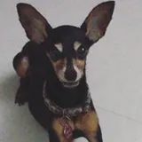 Authentic Review by Reikolee