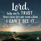 Authentic Review by Li Hua