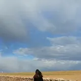 Authentic Review by Summer Fu