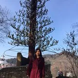 Authentic Review by Susan Ho