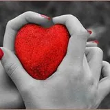 Authentic Review by Jaime Lin