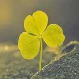 Authentic Review by LIM MUI NAI