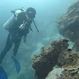 Authentic Review by Chew Wei ting