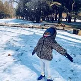Authentic Review by Darwin