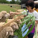 Authentic Review by Jenny