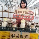Authentic Review by Amy choy