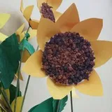Authentic Review by Shirley