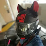 Authentic Review by Serene