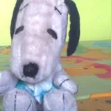 Authentic Review by Nicole Snoopy Ng
