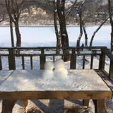 Authentic Review by Regina