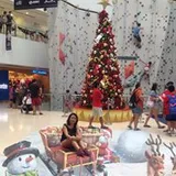 Authentic Review by Wendy Zhu