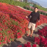 Authentic Review by Low Wei Zhen