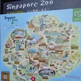 Authentic Review by Lia Tan