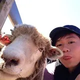 Authentic Review by Glenn Ng