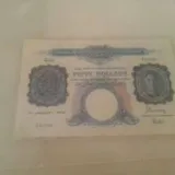 Authentic Review by Bundee Neo