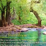 Authentic Review by Shirley