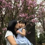 Authentic Review by SHENGHUA LU
