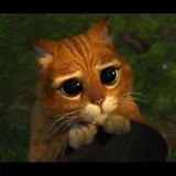 Authentic Review by Catherine Gan