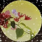 Authentic Review by Joan