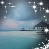 Authentic Review by Veronica