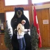 Authentic Review by Chua Siok Leng