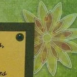Authentic Review by Hou Carol