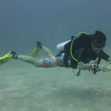 Authentic Review by James Tan