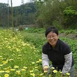 Authentic Review by Susan Lee