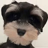 Authentic Review by Evelyn Ke