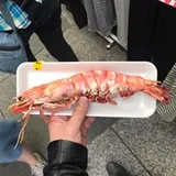 Authentic Review by Zebedee Ong