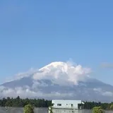 Authentic Review by farzanah razack