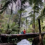 Authentic Review by Candy