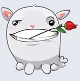 Authentic Review by STEPHANIE